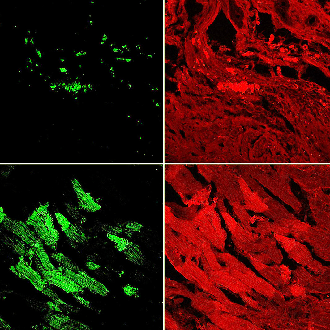 190910-3_research_6.jpg 