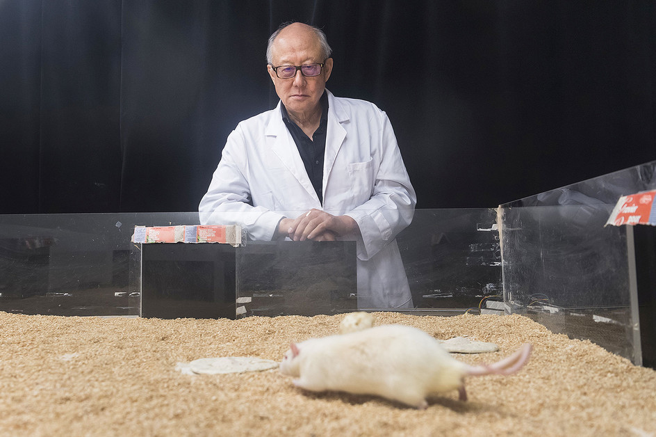New brain studies for treating myelin-related diseases