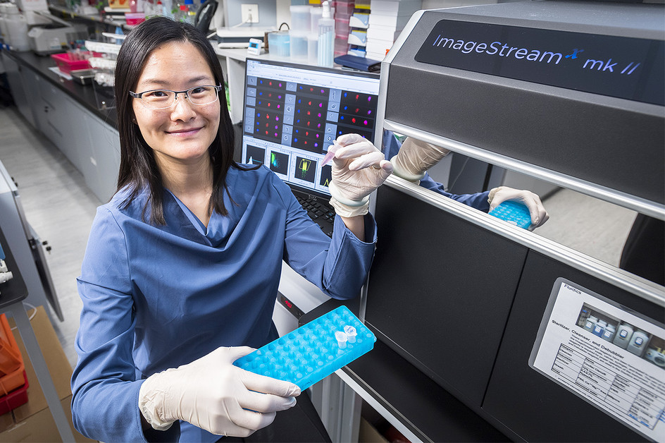 cancer immunotherapy