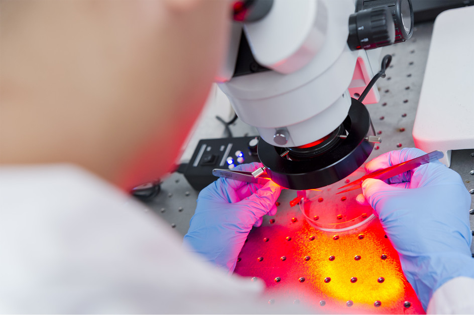 CityU secures HK$23m funding from two RGC Research Fellow Schemes