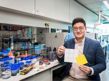 CityUHK professor wins the HKEST Award for advancements