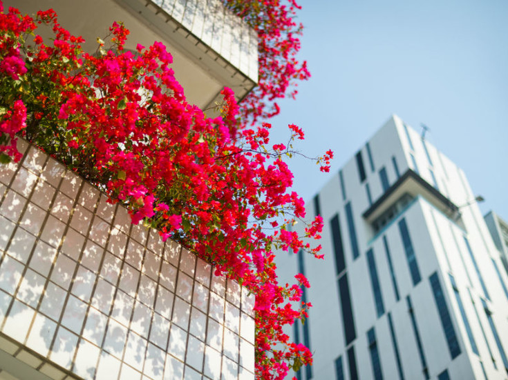 campus