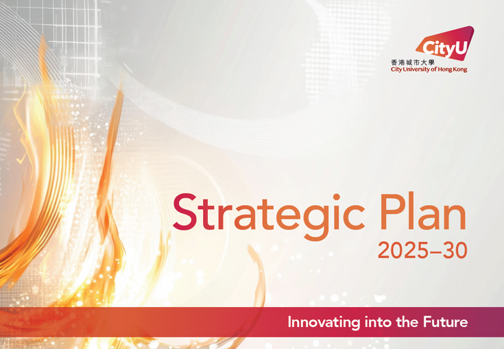 Strategic Plan 2025–2030