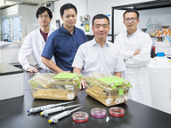 Anti-cancer prodrug