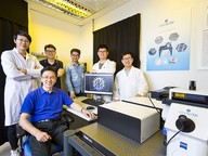 World’s first: 3D-printed magnetic microrobots delivering cells to precise locations in the body