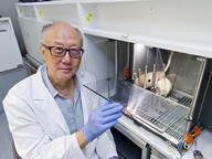 A research team led by Professor Li Ying has recently discovered a brain signalling molecule that can improve decision-making performance.