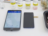 Handy and user-friendly sensor enhances food safety
