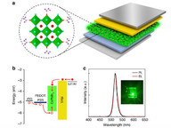 Perovskite Films