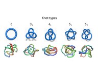 Knot type to be identified by AI