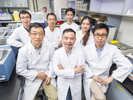 Uncovering the secret of RNA paves the way for drug discovery for Covid-19