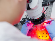 CityU secures HK$23m funding from two RGC Research Fellow Schemes