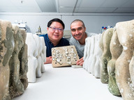 Seawalls’ marine biodiversity enhanced by eco-engineered tiles: CityU study