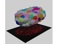 CShaper