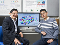 CityU develops novel computer tool for studying cells