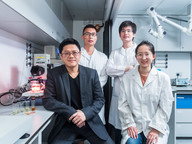 Boosting Solar Energy Conversion Efficiency