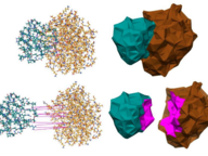 Molecules