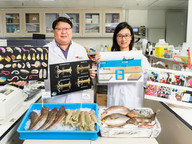 Trawl ban boosts marine biodiversity