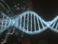 Genetic