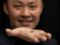 bio-inspired robot