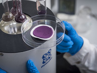 Capture nitrogen dioxide