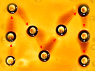 droplet wrap