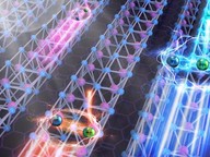 Excitons