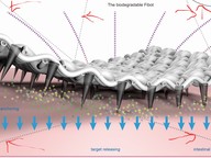 Nanofiber-based biodegradable millirobot
