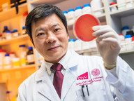CityU secures research funding from the RGC to tackle the global public health threat from hypervirulent, multidrug-resistant pathogens
