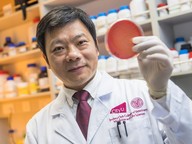Professor Chen Sheng