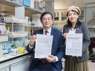 Research on hydrogen production led by Prof Lu Jian