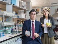 Novel electrocatalysts for hydrogen production