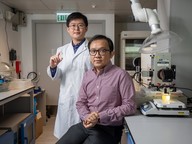 Professor Ng Yun-hau