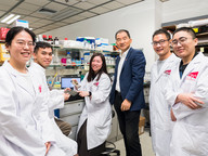 Discovery of a protein that promotes cancer metastasis