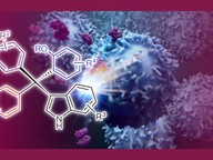 anticancer agents