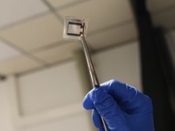 perovskite solar cell