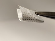 nanomesh