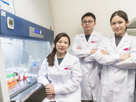 Genetically modified neural stem cells