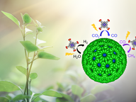 photocatalytic system