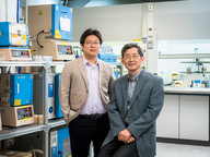 Critical breakthrough for enhancing battery capacity
