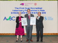 CityU’s Bachelor of Veterinary Medicine programme, the first dual accredited veterinary programme in Asia