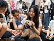 CityU students de-stress with “Professor Paws”