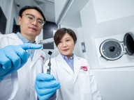 inorganic perovskites