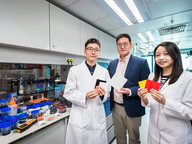 CityU revolutionary cooling ceramic enhances energy efficiency and combats global warming through