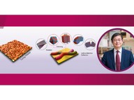 prof lu, cityu