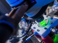 CityUHK tops local institutions for the eighth consecutive year for the most US patents granted