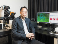 Can animals count? Neuroscientists at CityUHK and CUHK resolve long-standing debate