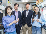 CityUHK researchers achieve breakthrough in developing living passivator for perovskite solar cell stability
