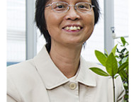 111207_wetland-1.jpg Thumbnail