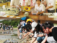 120719-1_crabs.jpg Thumbnail