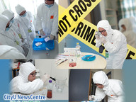 130805_crime-1.jpg Thumbnail